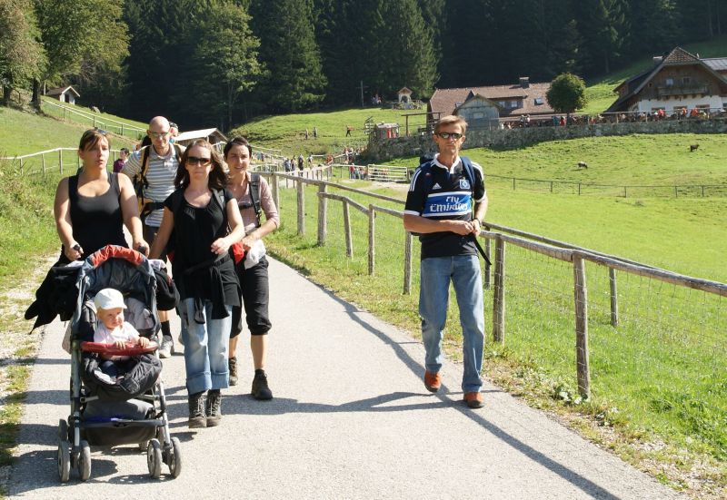 Wanderung zur Hochsteinalm 2011